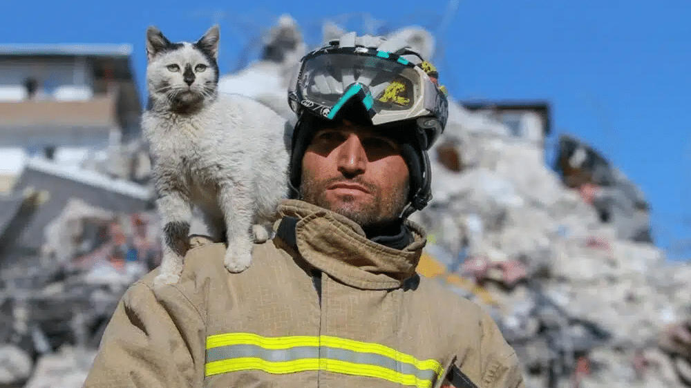 Il gatto Enkaz e il suo angelo custode che lo ha salvato dalle macerie in Turchia.