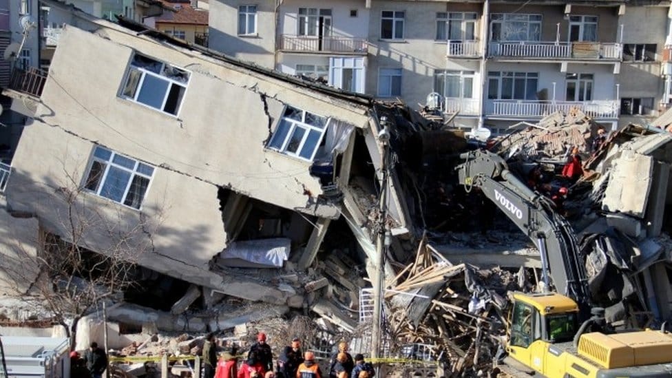 Terremoto in Turchia: un cane ululava prima del disastro, cercava di mettere in guardia i residenti