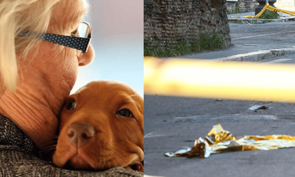 Roma, anziana investita e uccisa insieme al suo cane durante una passeggiata