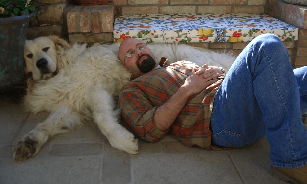 Cane mastica il suo alluce mentre dorme e gli salva la vita l'uomo aveva due arterie ostruite