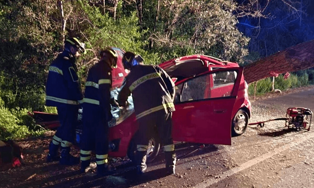Roma, albero cade su auto in transito due feriti, di cui uno grave in codice rosso