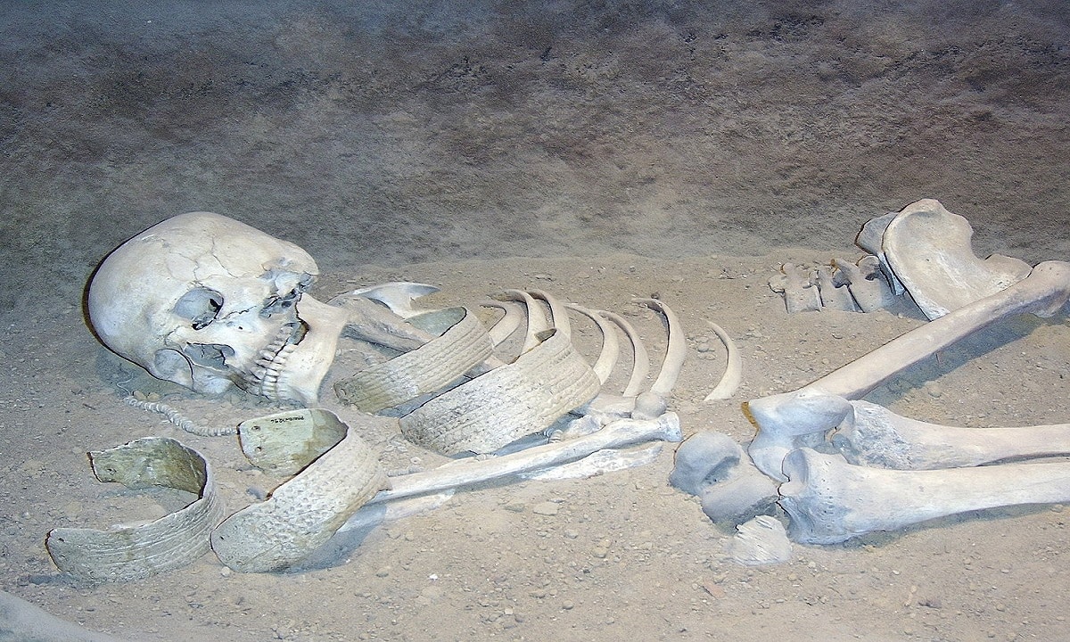 Vicenza, resti di scheletro umano in chiesa