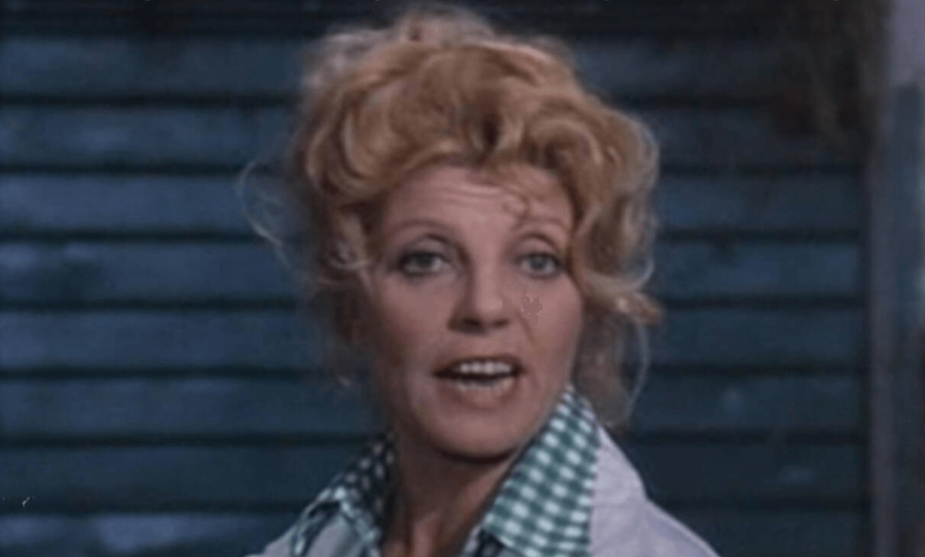 Didi Perego, la malattia se la portò via a 58 anni fu la madre di Buy in Maledetto il giorno che t'ho incontrato