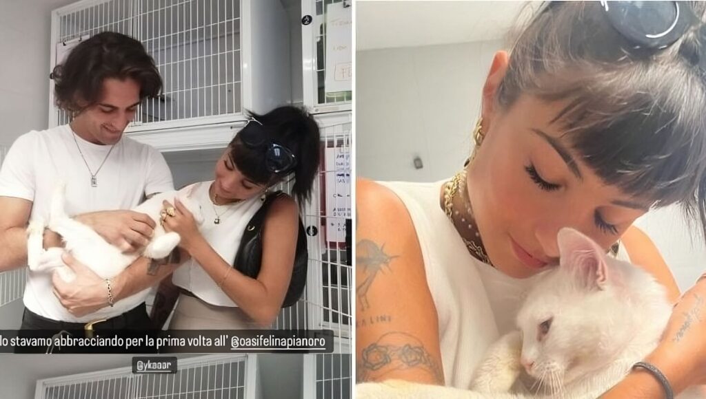 Giorgia Soleri: i gatti? Restano con me