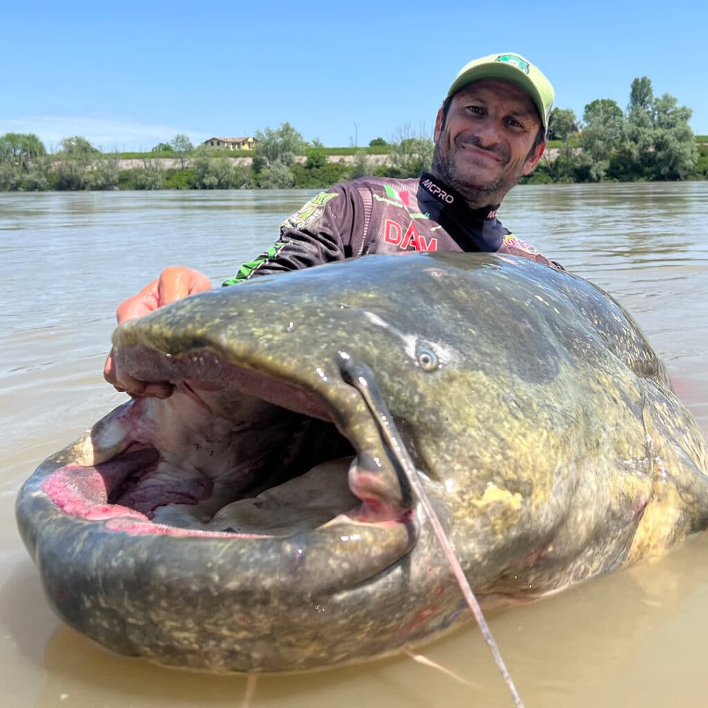 Da 23 anni sulle sue tracce, un uomo cattura un pesce siluro gigantesco di 3 metri battendo il Catfish World Record