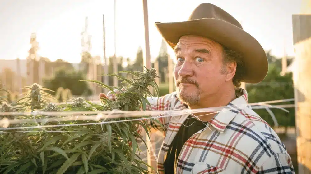 James Belushi spegne 69 candeline. Dagli esordi sul grande schermo negli anni 80 fino all'addio ai riflettori per dedicarsi alla coltivazione di cannabis, in Oregon, con la sua Belushi's Farm