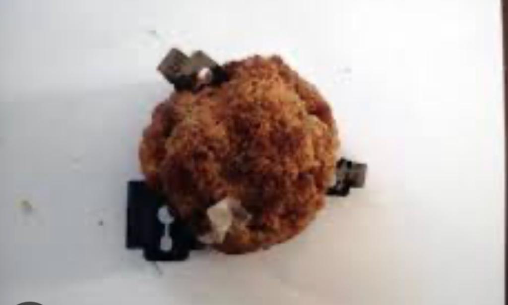 Le polpette killer sono state ritrovate nei giardini Carmelo Bene di Milano. A farne le spese sono stati due cani e una donna che si è ferita