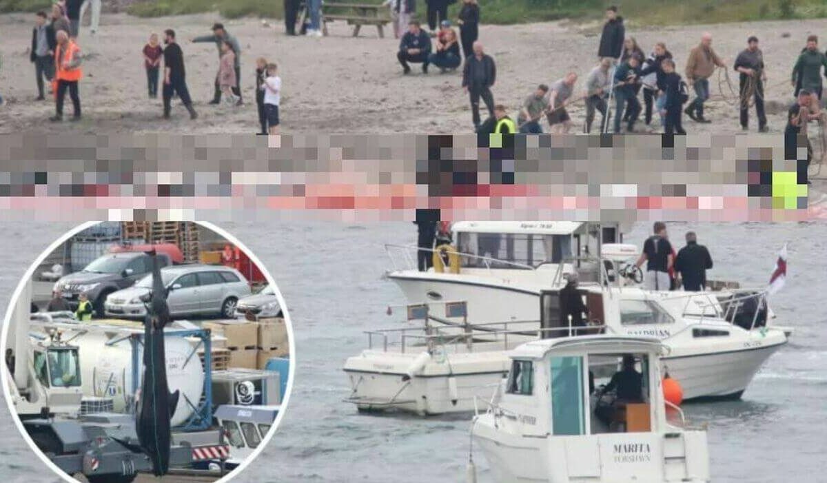 Crociera da incubo nelle isole Faroe durante il grindadrap