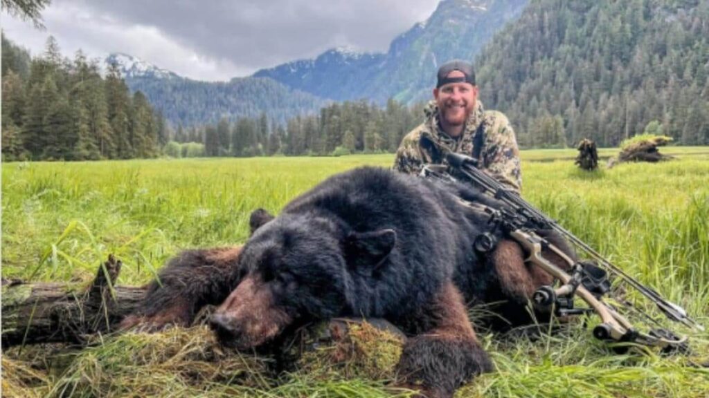 Bracconiere uccide un orso nero e posta la foto sui social: "Barbara assurdità"