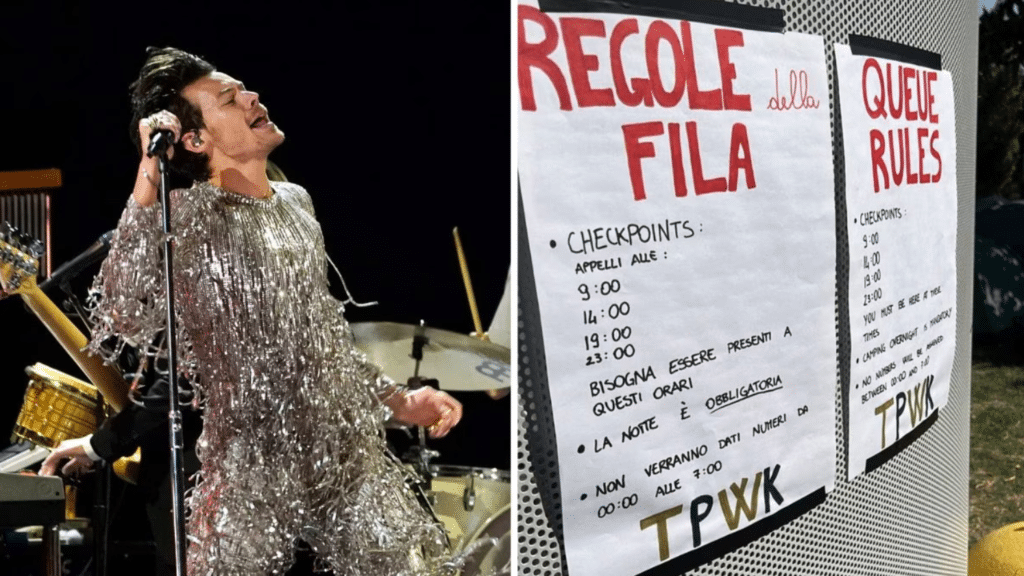 Follie al concerto di Harry Styles, audio con minacce