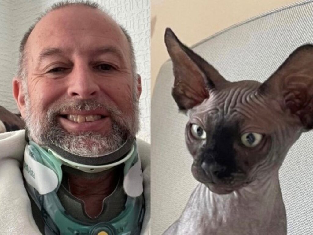Il bizzarro incidente, soprannominato dai media inglesi "Apocalypse Meow", ha causato all'uomo lesioni così gravi da essere paragonate ai traumi subiti dalle vittime di una collisione automobilistica