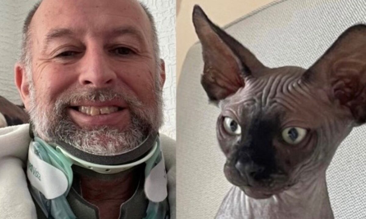 Il bizzarro incidente, soprannominato dai media inglesi "Apocalypse Meow", ha causato all'uomo lesioni così gravi da essere paragonate ai traumi subiti dalle vittime di una collisione automobilistica