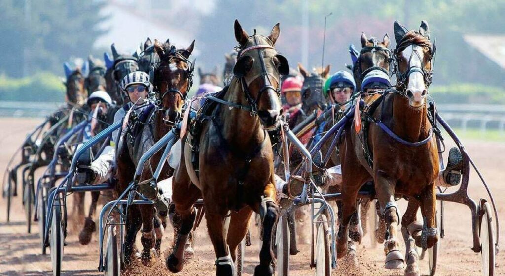 Punta sull'ippica e vince 725mila euro: "Ha indovinato l'arrivo di cinque cavalli"