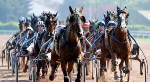 Punta sull'ippica e vince 725mila euro: "Ha indovinato l'arrivo di cinque cavalli"