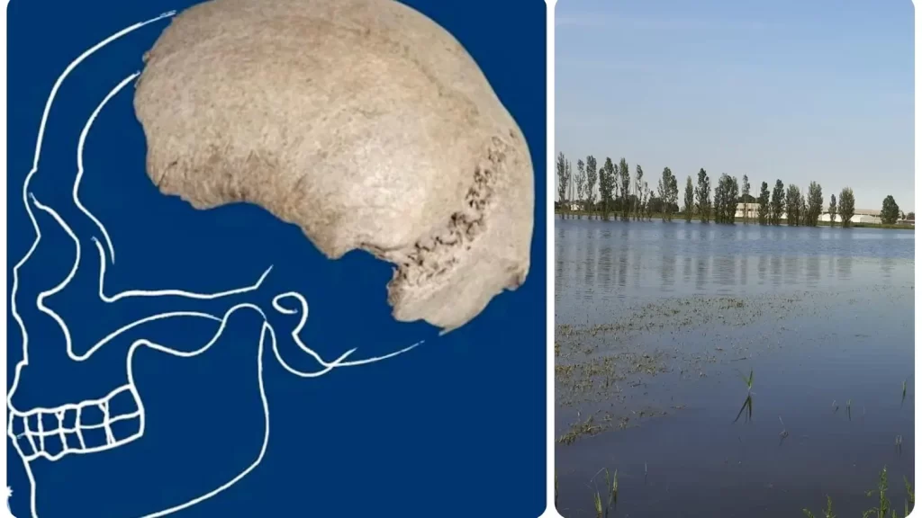 Cranio di Homo Sapiens ritrovato nel fiume Po