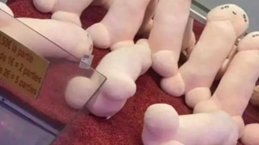 All'interno di un famoso parco di divertimenti sulla Costa Azzurra, alcuni genitori, insieme ai propri bambini, sono rimasti sconvolti dalla presenza di peni di peluche come premi di un noto gioco