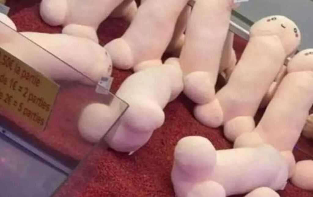 All'interno di un famoso parco di divertimenti sulla Costa Azzurra, alcuni genitori, insieme ai propri bambini, sono rimasti sconvolti dalla presenza di peni di peluche come premi di un noto gioco