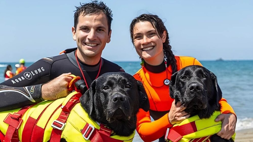 Cani bagnino salvano 5 ragazzi in mare a Forte dei Marmi.