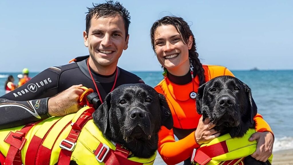 Cani bagnino salvano 5 ragazzi in mare a Forte dei Marmi.