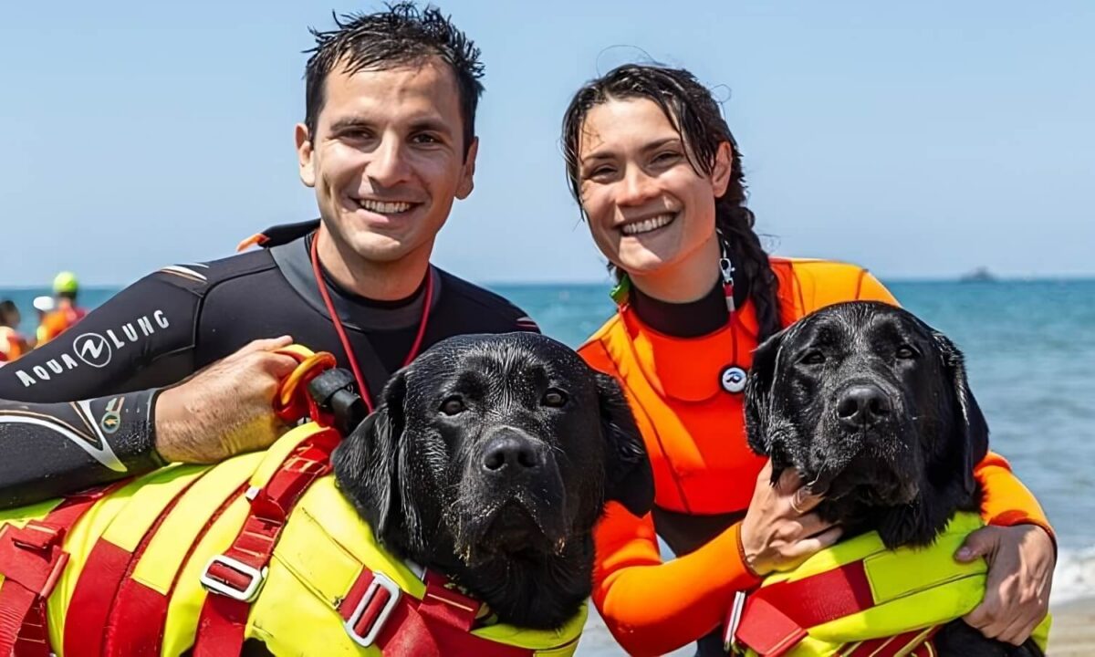 Cani bagnino salvano 5 ragazzi in mare a Forte dei Marmi.
