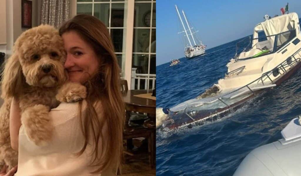 Adrienne Vaughan era la presidente di Bloomsbury USA, ovvero la casa editrice di tutti i romanzi di Harry Potter in terra statunitense