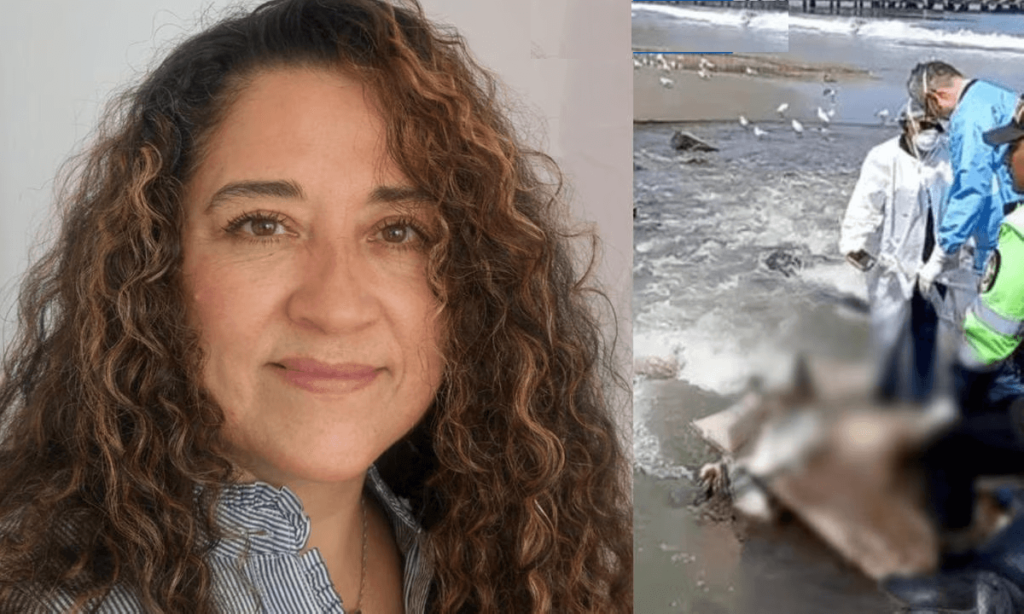 Conosce un uomo online e fa 5mila km per lui Lo amo. Uccisa e prelevati gli organi, la dinamica