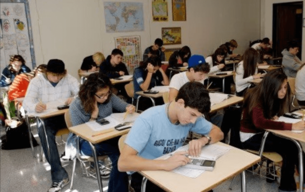 I giovani non sanno fare le addizioni (VIDEO) La somma dell'età di 2 fratelli è 30 anni, quanto sarà tra 10, le risposte