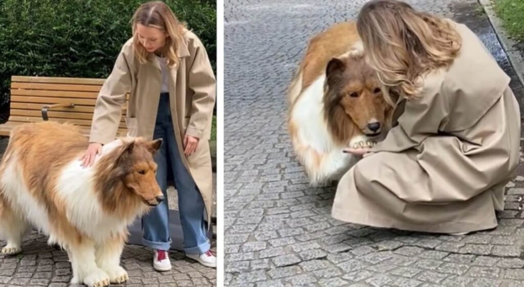 Spende 13mila euro per trasformarsi in un cane: "I miei amici non lo sanno, penserebbero che sono strano" (VIDEO)