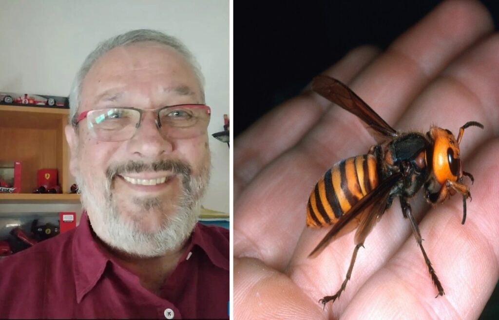 Punto da un calabrone, morto Gilberto Trambaiollo