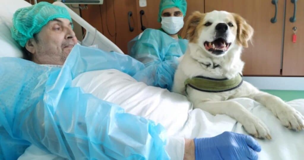 ricoverato da un anno chiede di rivedere il suo cane