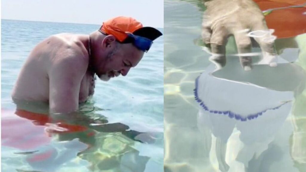 Il 'palleggio' sulle note dell'intramontabile "Splendida giornata" [VIDEO]