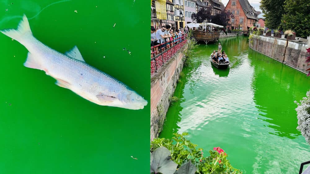 Un atto di protesta nei confronti dell'inquinamento selvaggio nell'area