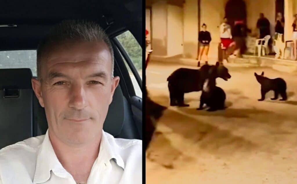 Parla l’uomo che ha ucciso l’orsa Amarena in Abruzzo.