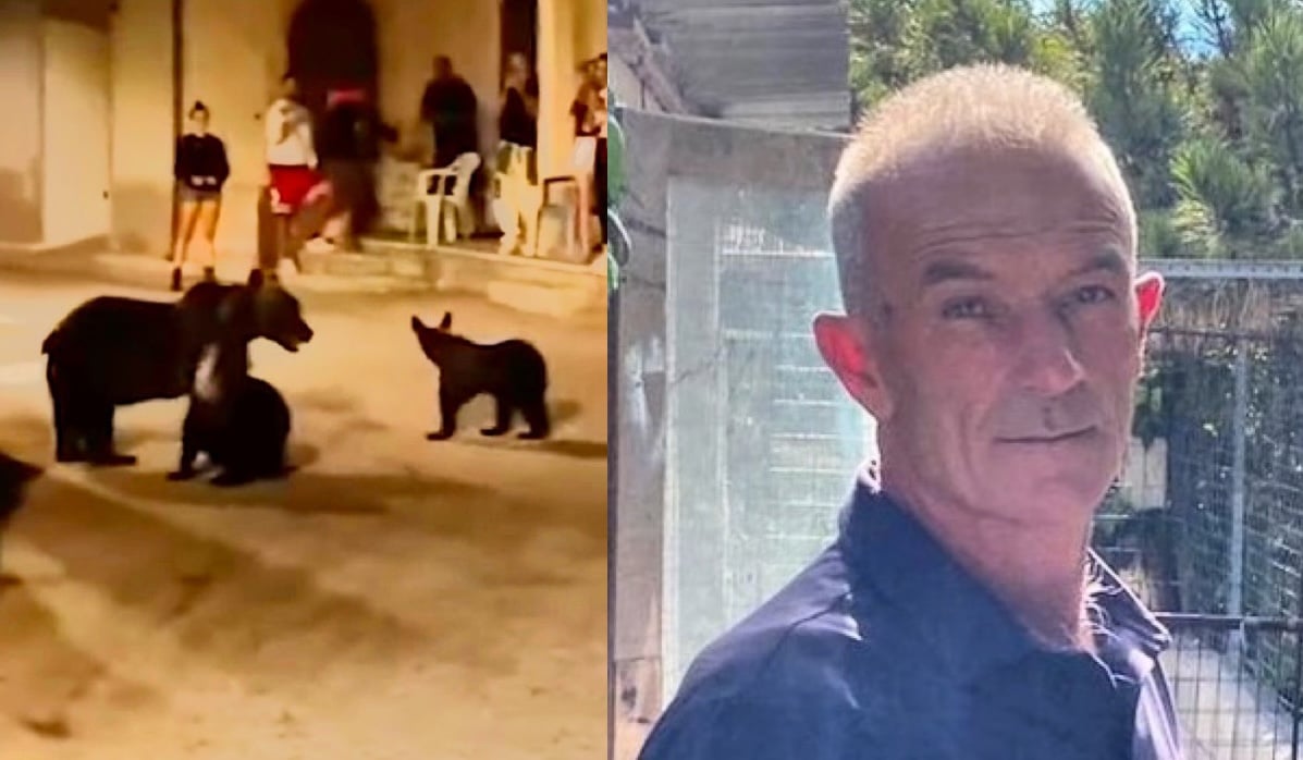 Parla Andrea Leombruni, il killer dell’orsa Amarena