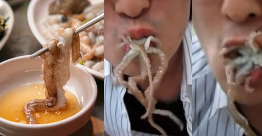 Mangia il polpo vivo ma un tentacolo si incastra in gola e lo soffoca, uccidendolo in Corea