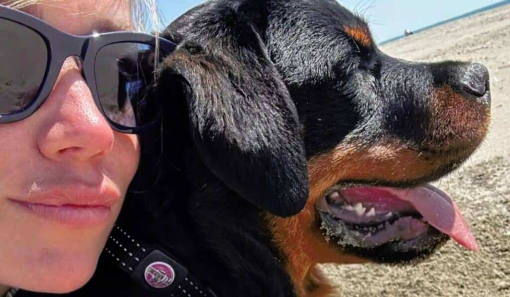 Emilia cane caduto dalla finestra Cody