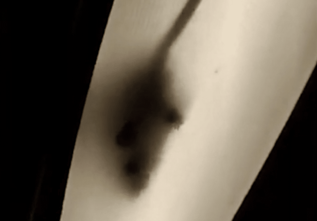 Enorme ratto semina il panico tra i passeggeri del treno