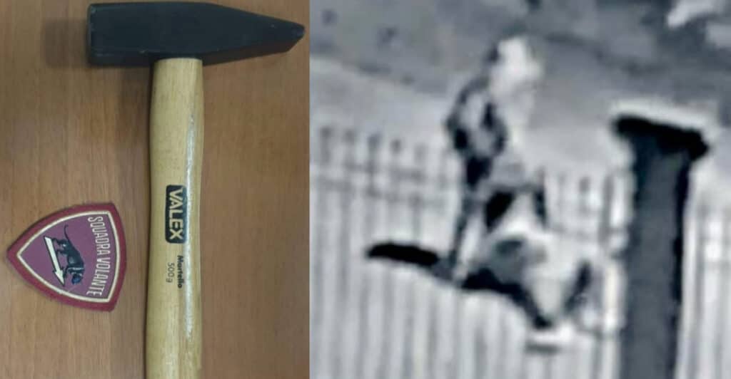 Uccide la mamma a martellate: condannato all'ergastolo