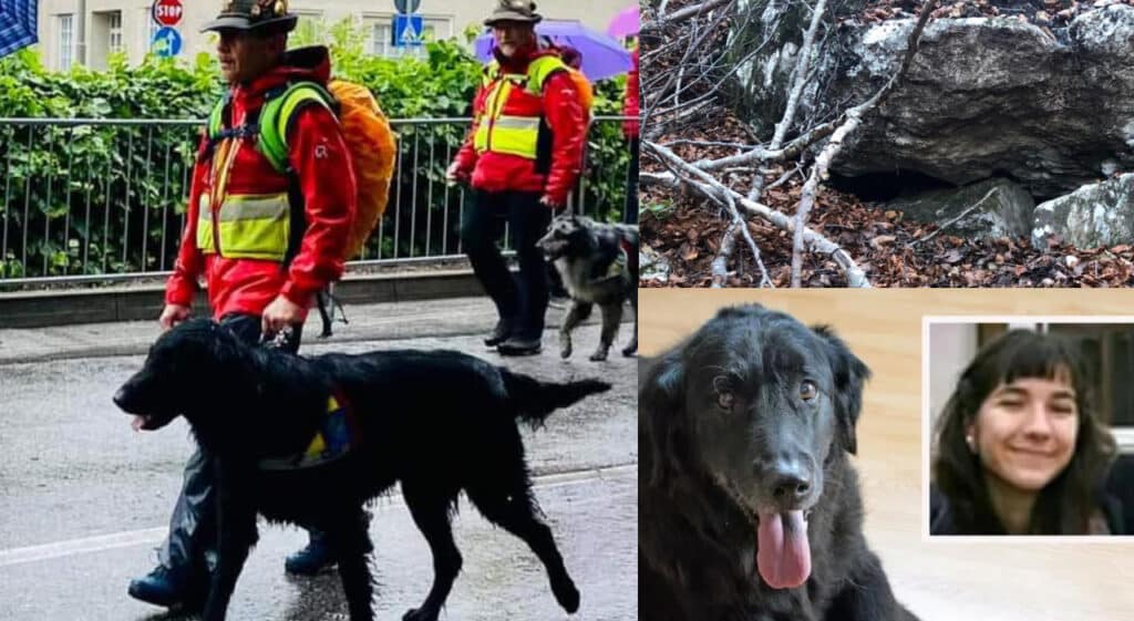 "Il cane è stato fenomenale perché ha trovato un corpo che era lì da diversi giorni e non emanava gli odori per cui lo avevamo addestrato"