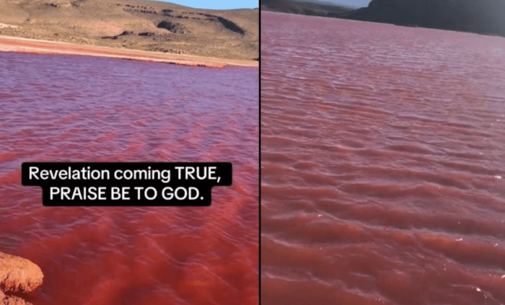 Le acque del Nilo diventano rosse, i social Punizione divina, la spiegazione