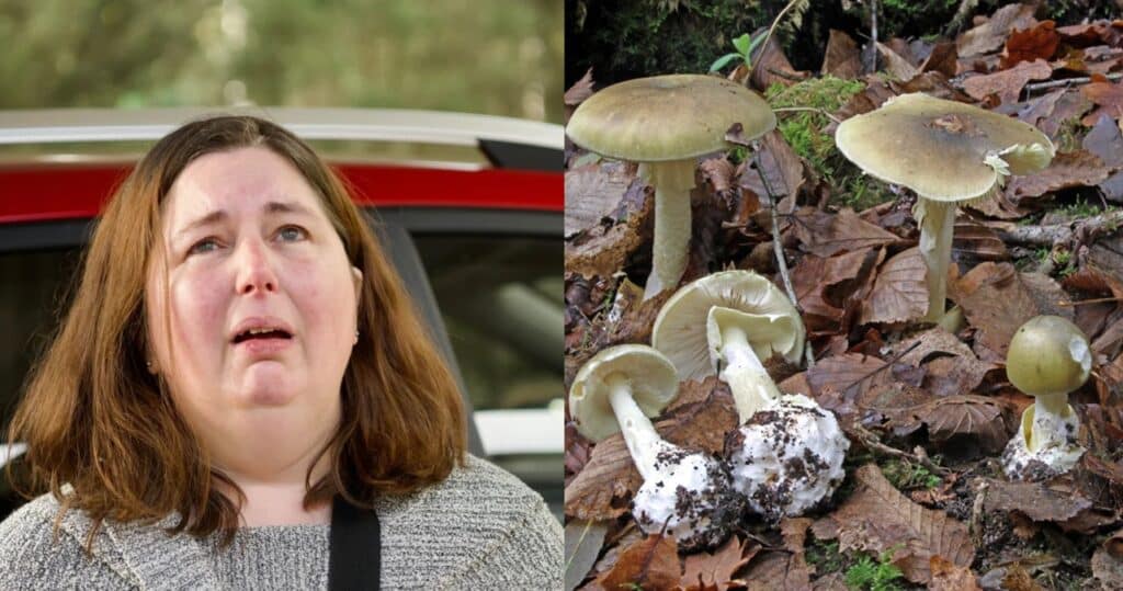 Cucina funghi velenosi e uccide tre familiari