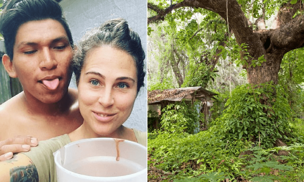 Lascia il lusso e va a vivere nella giungla: "Starò con gli insetti", la storia