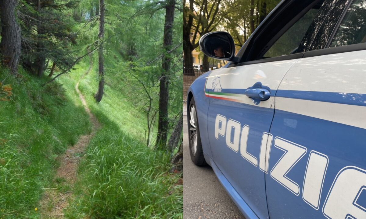 Livorno, va a caccia di funghi, ma trova nel bosco un cadavere decapitato