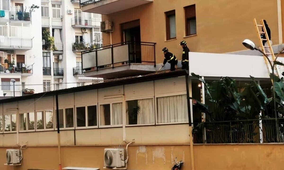 Secondo la dottoressa che per prima lo ha soccorso, il bimbo in ambulanza piangeva e chiamava il padre mentre l'uomo era steso accanto a lui agonizzante
