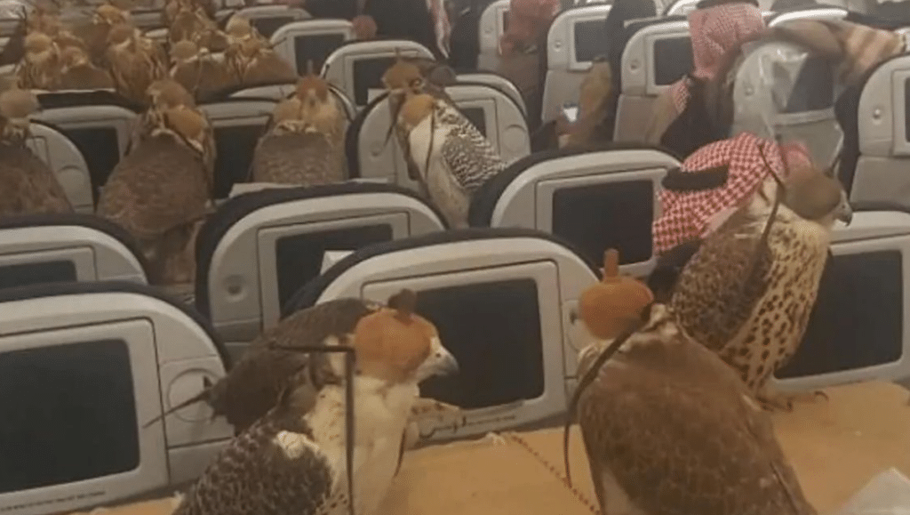 Ogni volatile era in possesso del proprio passaporto