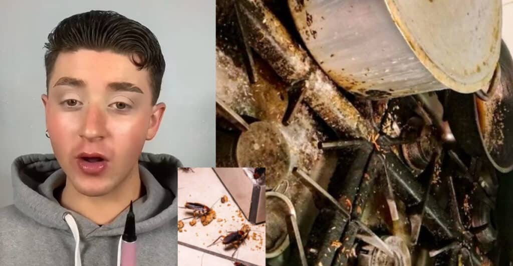 Ragazzo lavora 7 anni al ristorante, ecco le cose più nauseanti accadute