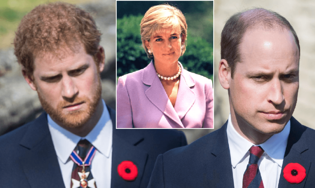 Lady Diana, rivelazione sul figlio Harry Sarebbe stato un re migliore, le confessioni