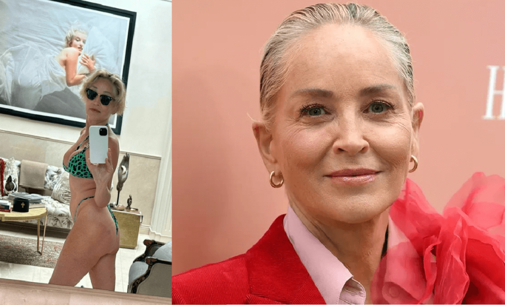 Sharon Stone iscritta a Tinder a 65 anni Ma è un disastro, la confessione