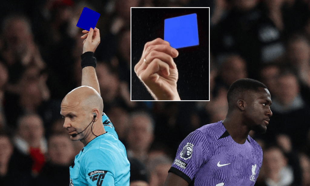 Calcio, ecco il cartellino blu il significato e quando si usa, le novità
