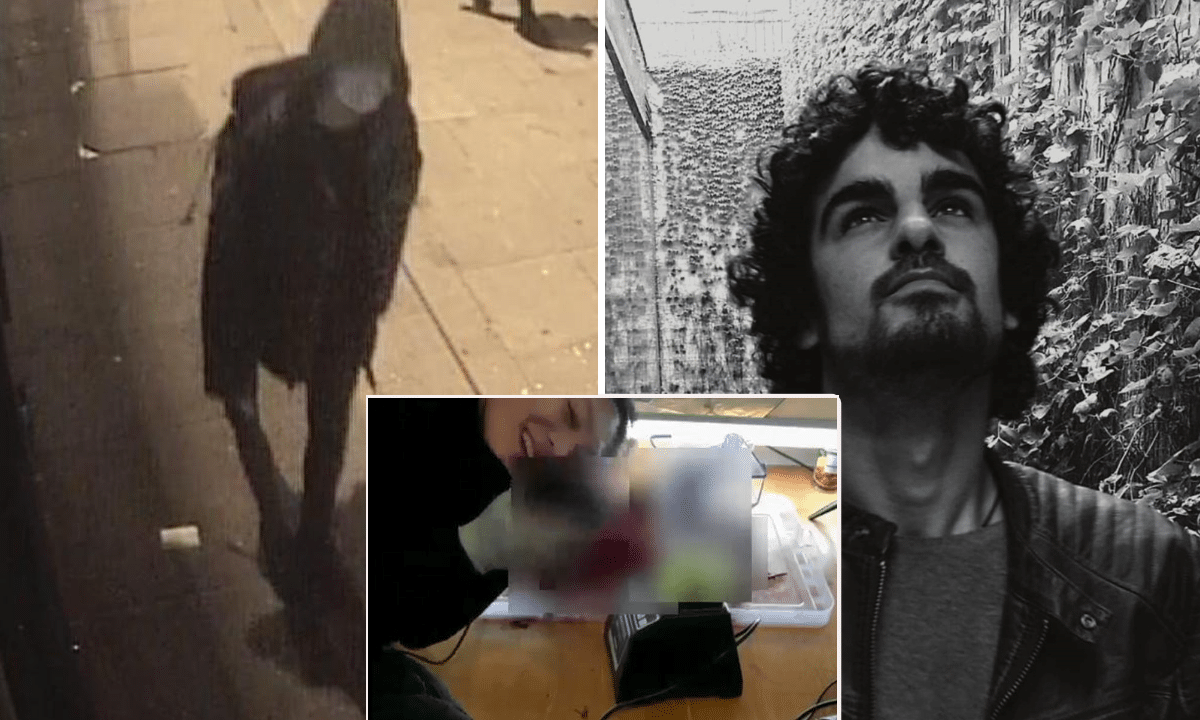 Quattro mesi prima dell'omicidio di un ingegnere 30enne, la ragazza aveva ripreso l'atroce e agghiacciante morte del gatto dei vicini e il suo successivo smembramento